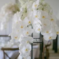 Tall orchid flower arrangement