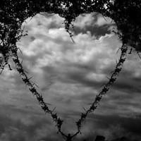 Heart led coaching