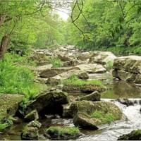 Profiter des belles journées de printemps pour se promener le long des fonds de Quarreux