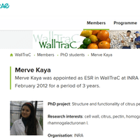 WallTraC Project