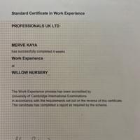 Cambridge University