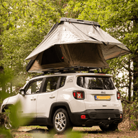 JoyCee with wings and fly top