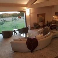 Beautiful views over the olive grove from the spacious salon