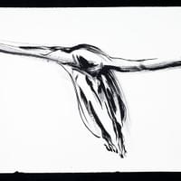 	Juliana Freitas DRAWING #14 I Mixed Media I 25” x 42” I 2006