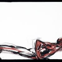 Juliana Freitas DRAWING #15 I Mixed Media I 25” x 42” I 2006