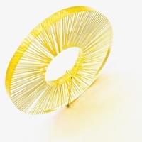 Diederick Van Hovell