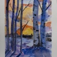 Winter Birch Trees