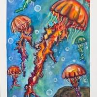 Summer Jellies 