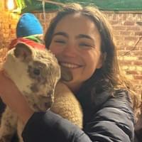 Hannah (and sheep)