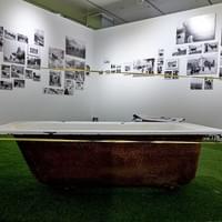 « Domestiques photogéniques » Photos © Sédrik Nemeth - Médiathèque Valais Martigny 2025