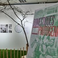 « Domestiques photogéniques » Photos © Sédrik Nemeth - Médiathèque Valais Martigny 2025
