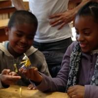 Capitaine qui est très fragile, passe de doigt en doigt.