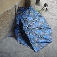 Un trésor à transformer