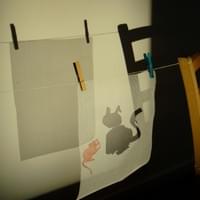 Pourquoi le chat n'a pas d'ombre ?