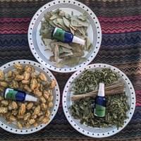 #9 Hydrosol Study-ON