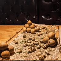 #16 New Moon III, course 1-QC