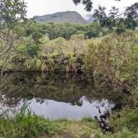 Madre Monte Residency-COL