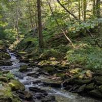 Wassaic Project Residency-NY