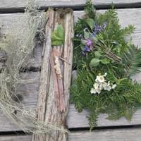 #10 mixed forest profile-BC