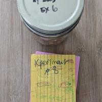 #6 & #8 Tasting NY Honey-QC