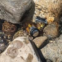 #10 Blossoms.Fireweed Honey-BC