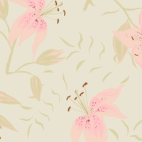 Asiatic Lily