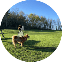 楊穎欣（紀實漫畫獎第二季）