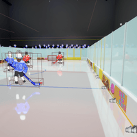Close Up of the Ice Rink
