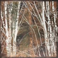 Portti, 94x954, puupiirros ja monotypia 2017