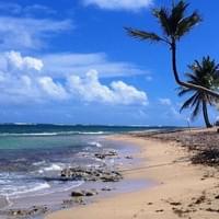 Le MOULE  Guadeloupe