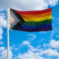 Gay Flag