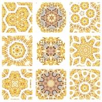 Oyster Mushroom Meditations, 2021