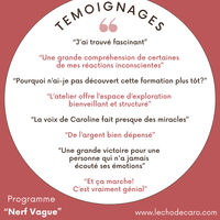 Programme "Nerf Vague"