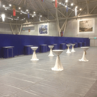 Temporary Partition between cocktail and main Dining Hall