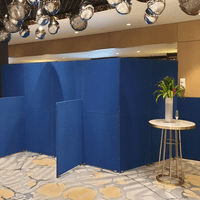 Temporary crowd control partitioning