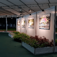 Lights, Posters and planter boxes