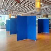 CLiP 2 panel "V" shape Full Height Panels