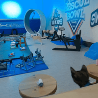 graphic & set design