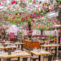 Serra at Eataly