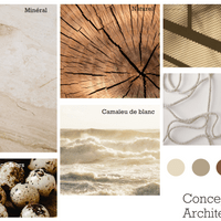 Concept architectural
