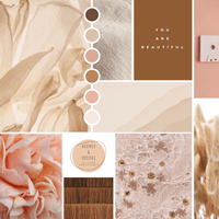 Projet Le Sabot Rose