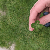 Some good luck for our lab's projects!