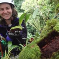 Arboreal soils!