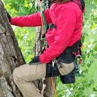 Jess during her canopy research course on USU's campus