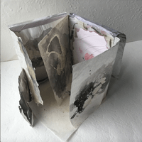 Artist book