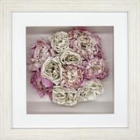 The Framed Top View