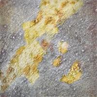 Inevitable Consequence [2016]