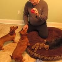 Mylo, Boo, and Sadie