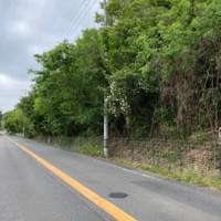 大谷自治会長様、地区リーダー、地元の皆様のご尽力を賜り、イノシシ対策ワイヤーメッシュ柵が釈王寺方面農面道路沿い、及びその周辺に設置されました。