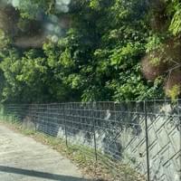 大谷自治会長様、地区リーダー、地元の皆様のご尽力を賜り、イノシシ対策ワイヤーメッシュ柵が釈王寺方面農面道路沿い、及びその周辺に設置されました。